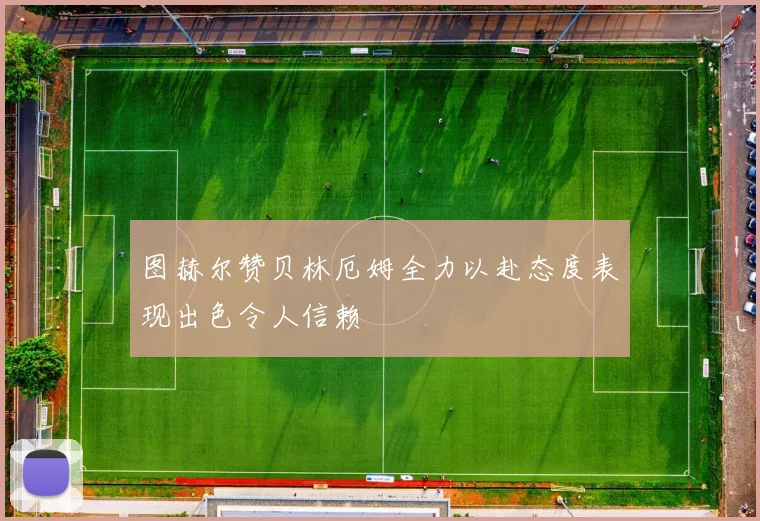 图赫尔赞贝林厄姆全力以赴态度表现出色令人信赖